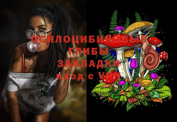 спиды Армянск