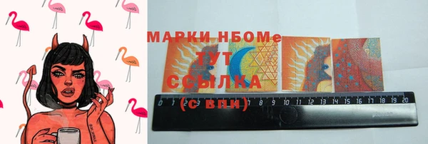 хмурый Арсеньев