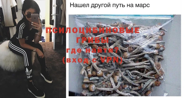 хмурый Арсеньев