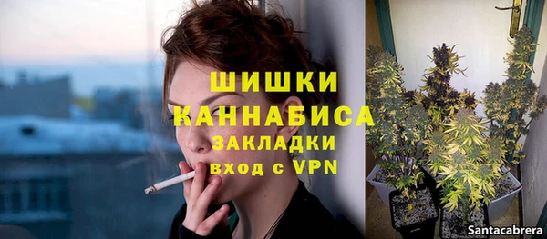 хмурый Арсеньев