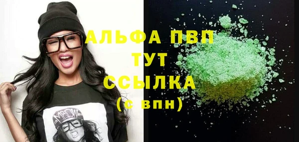 хмурый Арсеньев