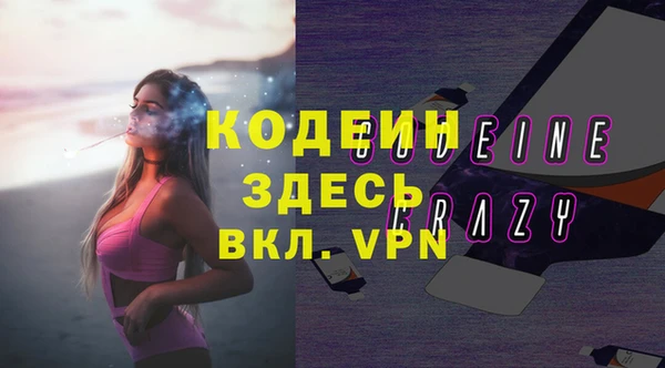 хмурый Арсеньев