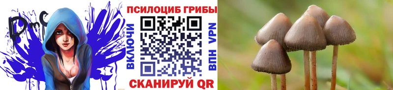 Галлюциногенные грибы ЛСД  Коломна 